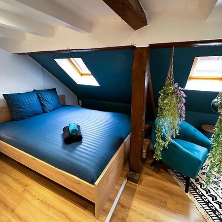Au Duplex De Jeannala Διαμέρισμα Sélestat Εξωτερικό φωτογραφία