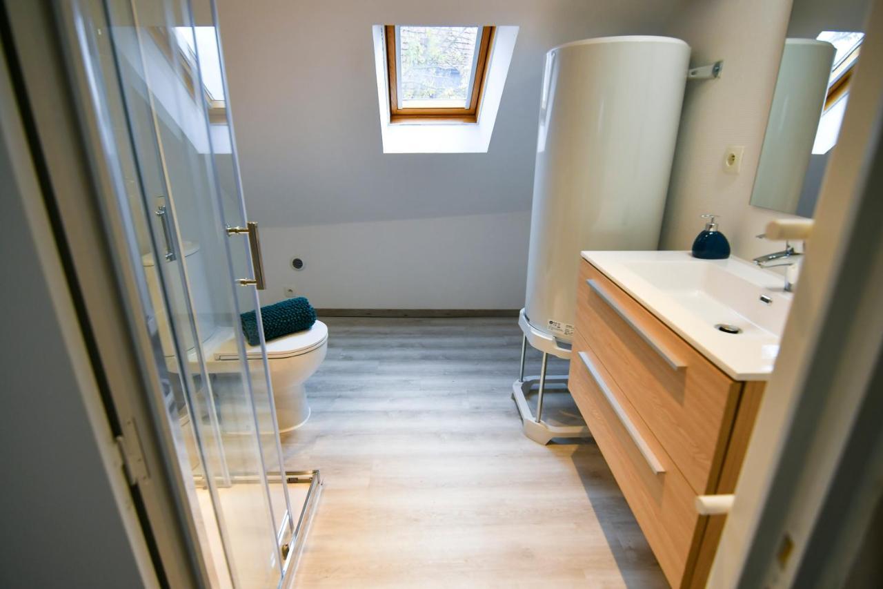 Au Duplex De Jeannala Διαμέρισμα Sélestat Εξωτερικό φωτογραφία