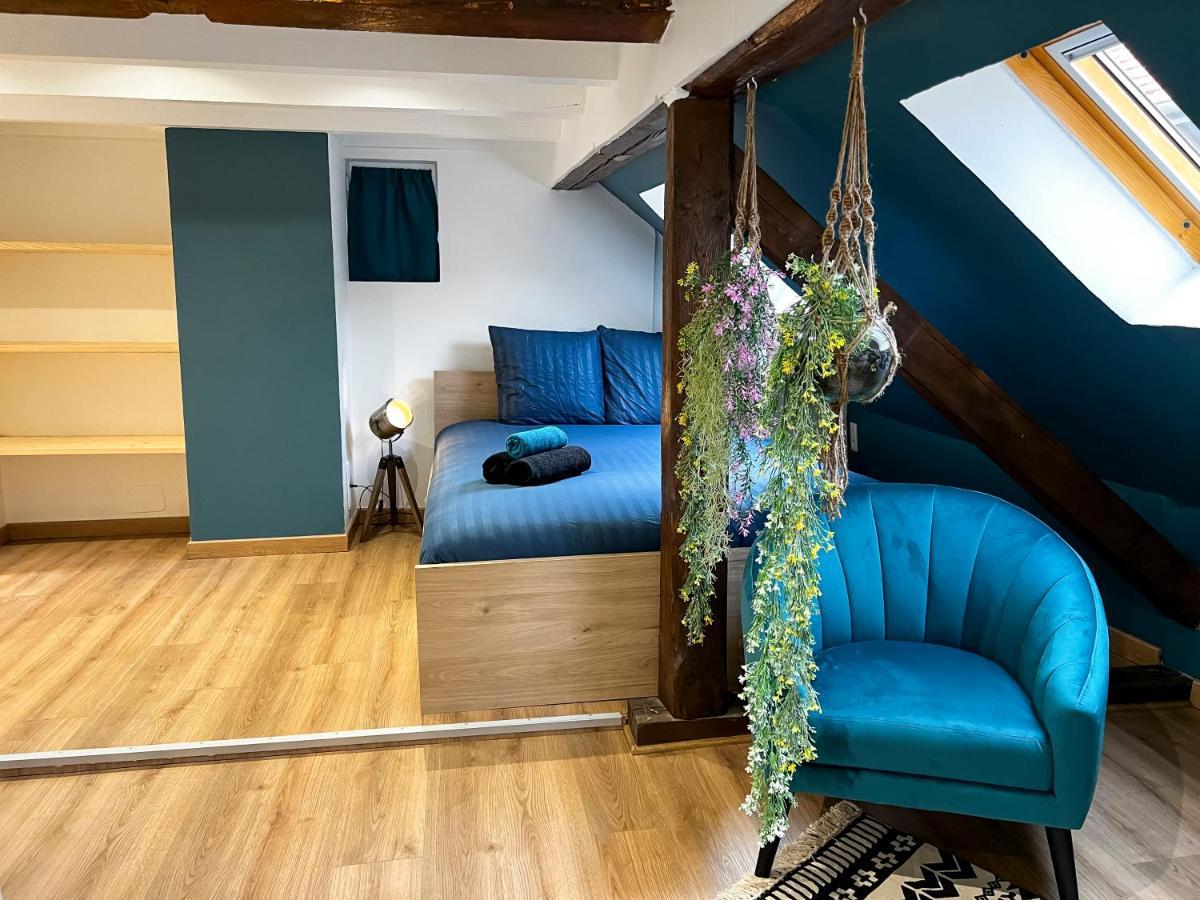 Au Duplex De Jeannala Διαμέρισμα Sélestat Εξωτερικό φωτογραφία